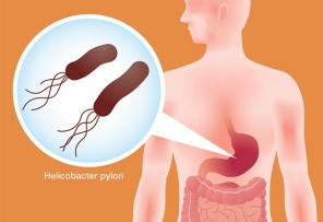 Helicobacter digestconfort heba HE COMPLEX